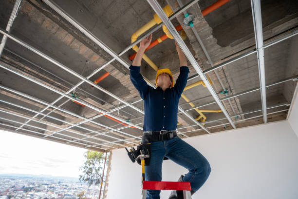 Best Commercial Plumbing Services  in Humboldt, IA