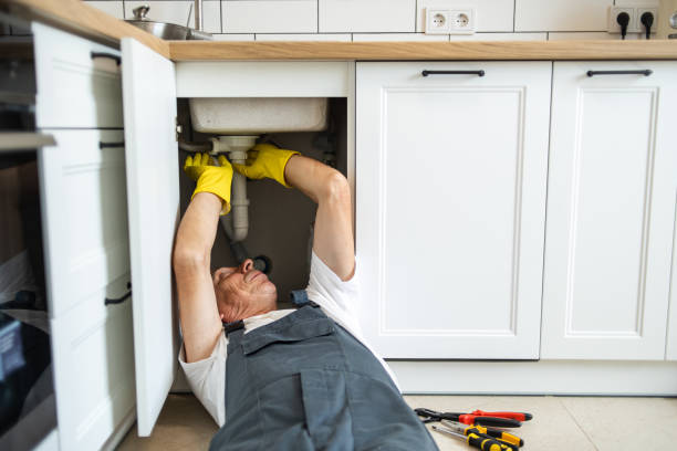 Best Local Plumber Services  in Humboldt, IA
